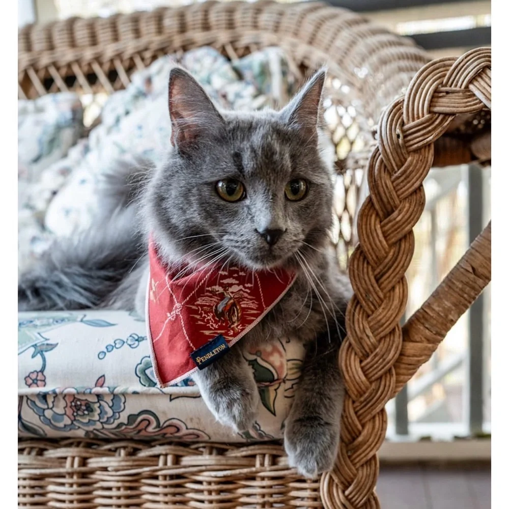 Pendleton | Pet Bandana 3 pack | Vintage West | small - fits up to 13” neck